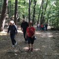 IMG_1186.