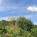 IMG_1238.